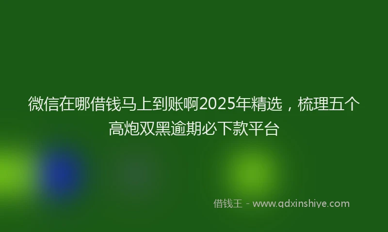 微信在哪借钱马上到账啊2025年精选，梳理五个高炮双黑逾期必下款平台