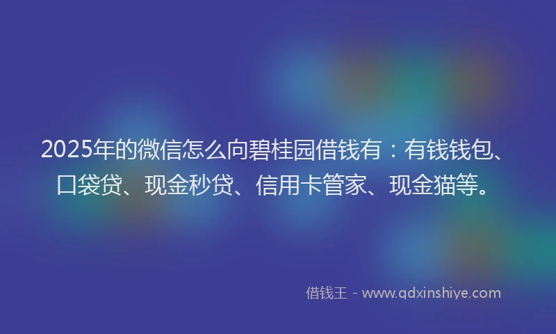 2025年的微信怎么向碧桂园借钱有：有钱钱包、口袋贷、现金秒贷、信用卡管家、现金猫等。