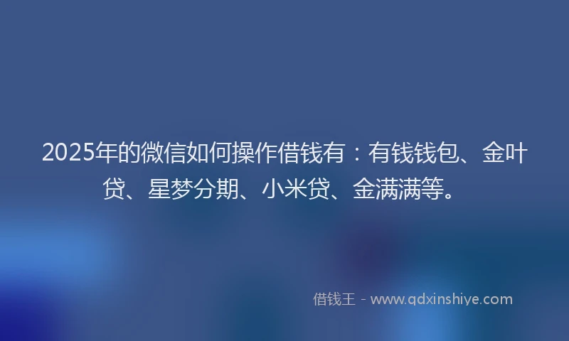 2025年的微信如何操作借钱有：有钱钱包、金叶贷、星梦分期、小米贷、金满满等。