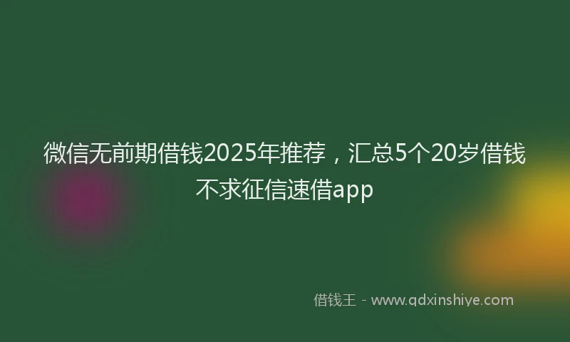 微信无前期借钱2025年推荐，汇总5个20岁借钱不求征信速借app