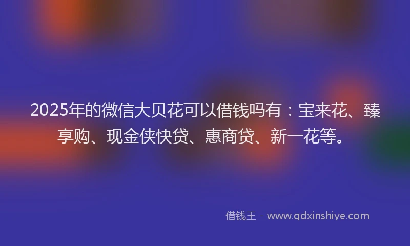2025年的微信大贝花可以借钱吗有：宝来花、臻享购、现金侠快贷、惠商贷、新一花等。