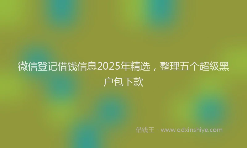 微信登记借钱信息2025年精选，整理五个超级黑户包下款