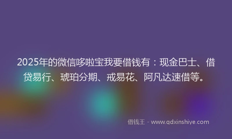2025年的微信哆啦宝我要借钱有：现金巴士、借贷易行、琥珀分期、戒易花、阿凡达速借等。