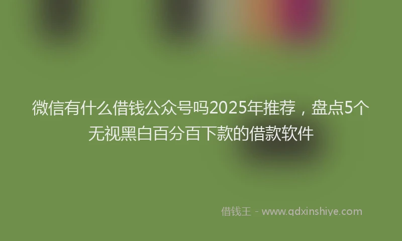 微信有什么借钱公众号吗2025年推荐，盘点5个无视黑白百分百下款的借款软件