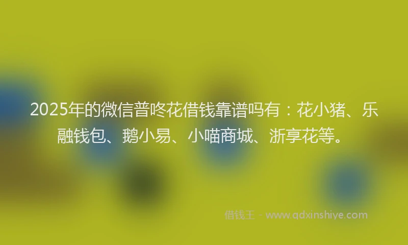 2025年的微信普咚花借钱靠谱吗有：花小猪、乐融钱包、鹅小易、小喵商城、浙享花等。