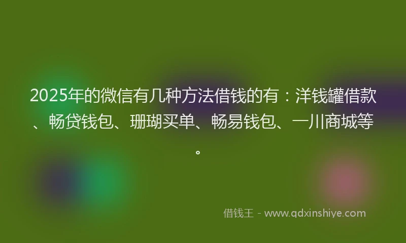 2025年的微信有几种方法借钱的有：洋钱罐借款、畅贷钱包、珊瑚买单、畅易钱包、一川商城等。