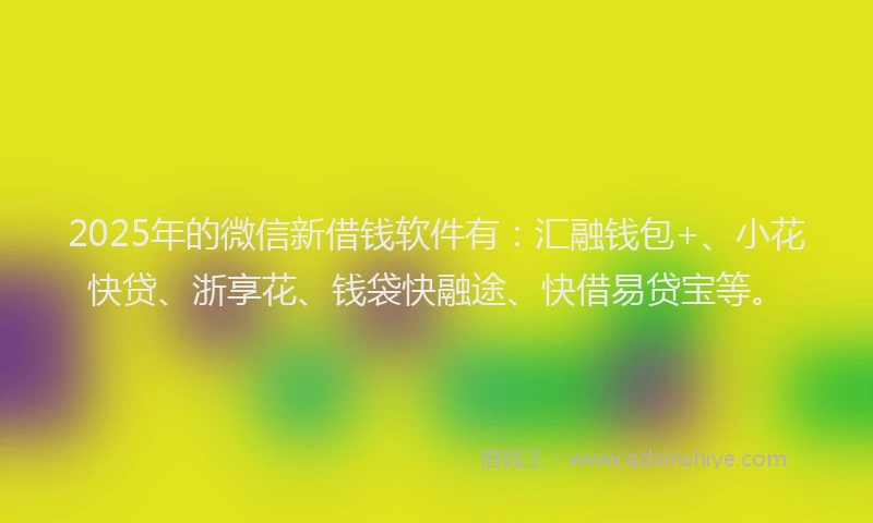 2025年的微信新借钱软件有：汇融钱包+、小花快贷、浙享花、钱袋快融途、快借易贷宝等。