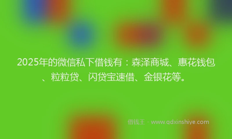 2025年的微信私下借钱有：森泽商城、惠花钱包、粒粒贷、闪贷宝速借、金银花等。