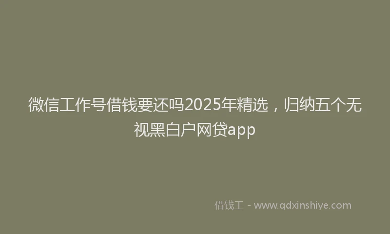 微信工作号借钱要还吗2025年精选，归纳五个无视黑白户网贷app