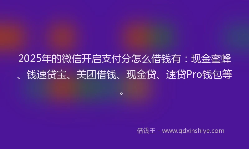 2025年的微信开启支付分怎么借钱有：现金蜜蜂、钱速贷宝、美团借钱、现金贷、速贷Pro钱包等。