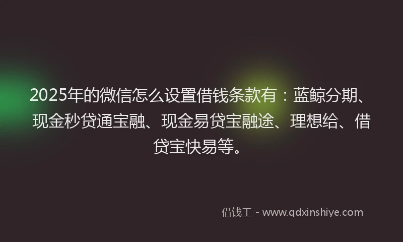 2025年的微信怎么设置借钱条款有：蓝鲸分期、现金秒贷通宝融、现金易贷宝融途、理想给、借贷宝快易等。