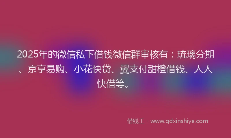 2025年的微信私下借钱微信群审核有：琉璃分期、京享易购、小花快贷、翼支付甜橙借钱、人人快借等。