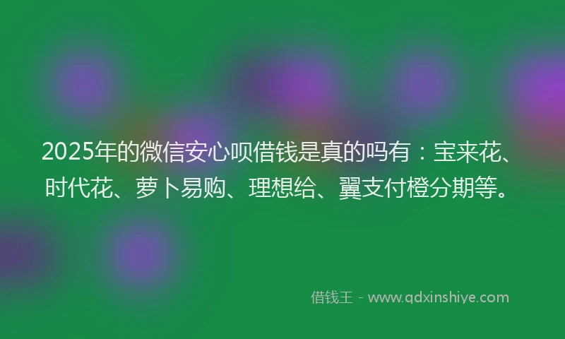2025年的微信安心呗借钱是真的吗有：宝来花、时代花、萝卜易购、理想给、翼支付橙分期等。