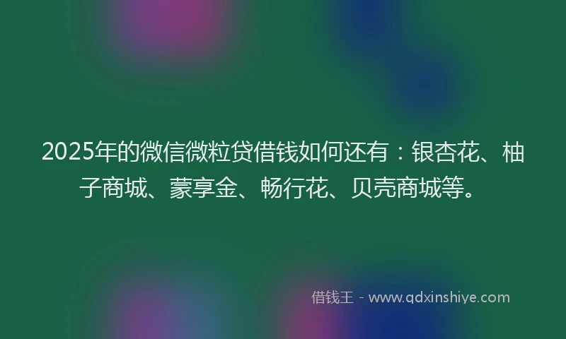 2025年的微信微粒贷借钱如何还有：银杏花、柚子商城、蒙享金、畅行花、贝壳商城等。
