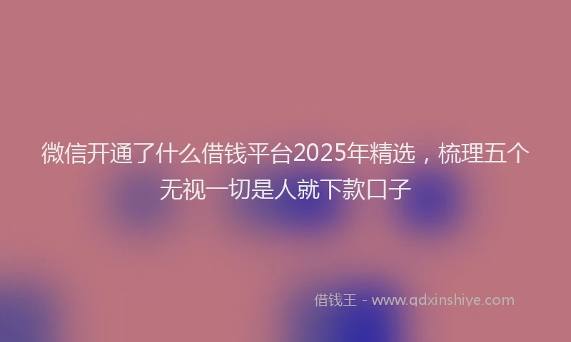 微信开通了什么借钱平台2025年精选，梳理五个无视一切是人就下款口子