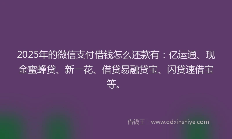 2025年的微信支付借钱怎么还款有：亿运通、现金蜜蜂贷、新一花、借贷易融贷宝、闪贷速借宝等。