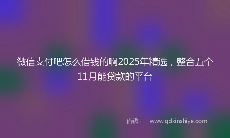 微信支付吧怎么借钱的啊2025年精选，整合五个11月能贷款的平台