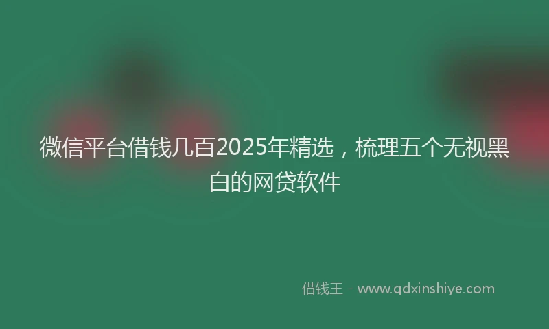 微信平台借钱几百2025年精选，梳理五个无视黑白的网贷软件
