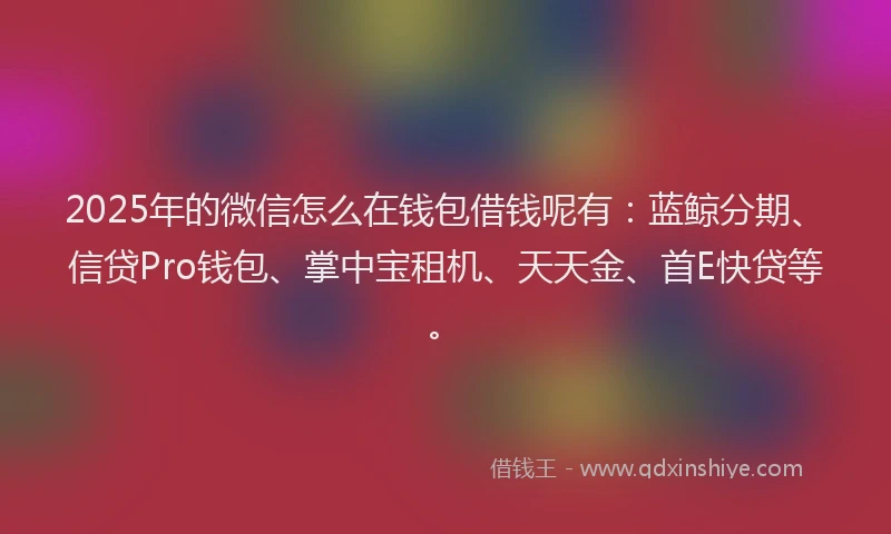 2025年的微信怎么在钱包借钱呢有：蓝鲸分期、信贷Pro钱包、掌中宝租机、天天金、首E快贷等。