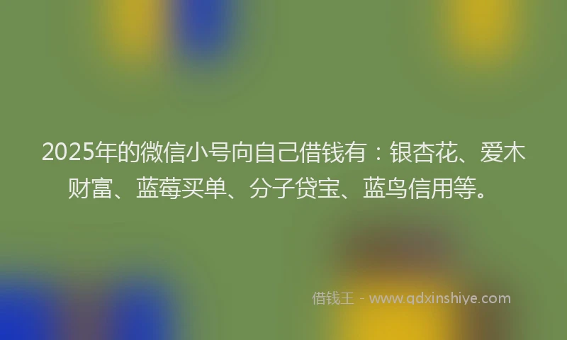 2025年的微信小号向自己借钱有：银杏花、爱木财富、蓝莓买单、分子贷宝、蓝鸟信用等。