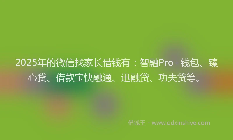 2025年的微信找家长借钱有：智融Pro+钱包、臻心贷、借款宝快融通、迅融贷、功夫贷等。