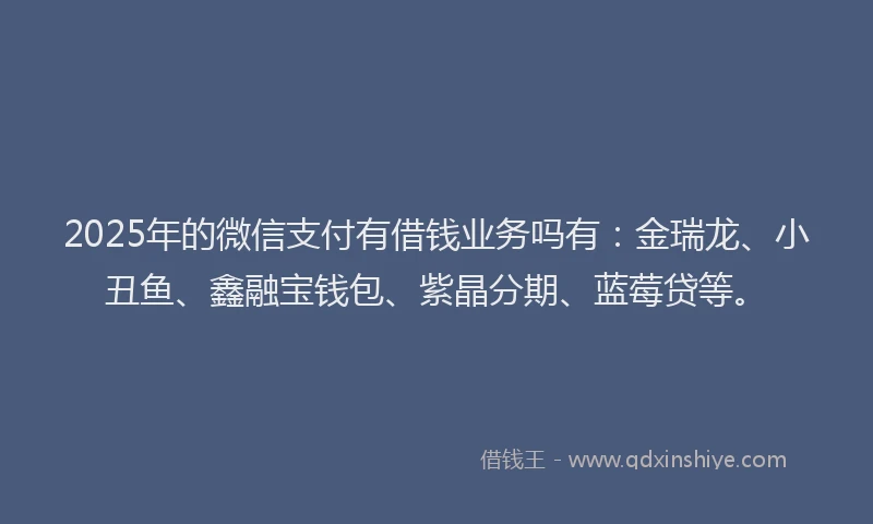 2025年的微信支付有借钱业务吗有：金瑞龙、小丑鱼、鑫融宝钱包、紫晶分期、蓝莓贷等。