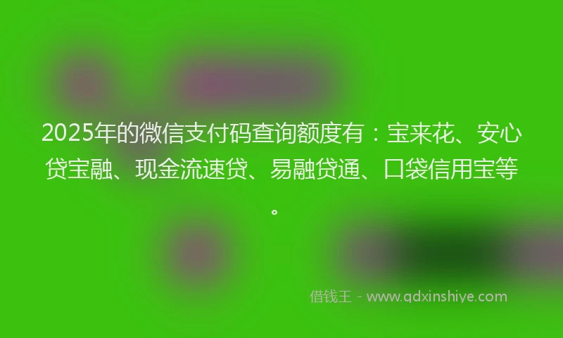 2025年的微信支付码查询额度有：宝来花、安心贷宝融、现金流速贷、易融贷通、口袋信用宝等。