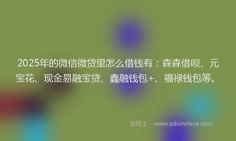 2025年的微信微贷里怎么借钱有：森森借呗、元宝花、现金易融宝贷、鑫融钱包+、福禄钱包等。