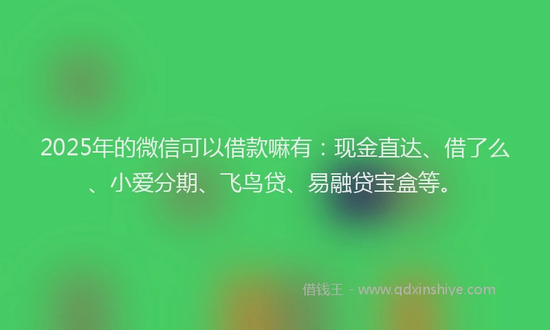 2025年的微信可以借款嘛有：现金直达、借了么、小爱分期、飞鸟贷、易融贷宝盒等。
