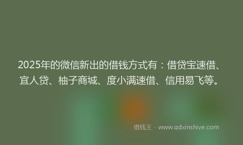 2025年的微信新出的借钱方式有：借贷宝速借、宜人贷、柚子商城、度小满速借、信用易飞等。
