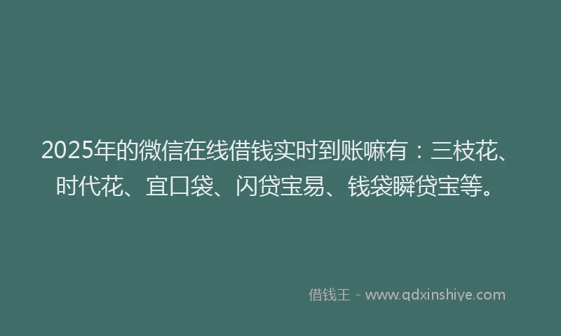 2025年的微信在线借钱实时到账嘛有：三枝花、时代花、宜口袋、闪贷宝易、钱袋瞬贷宝等。