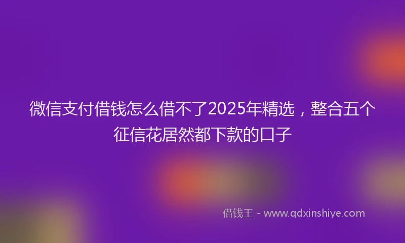 微信支付借钱怎么借不了2025年精选，整合五个征信花居然都下款的口子