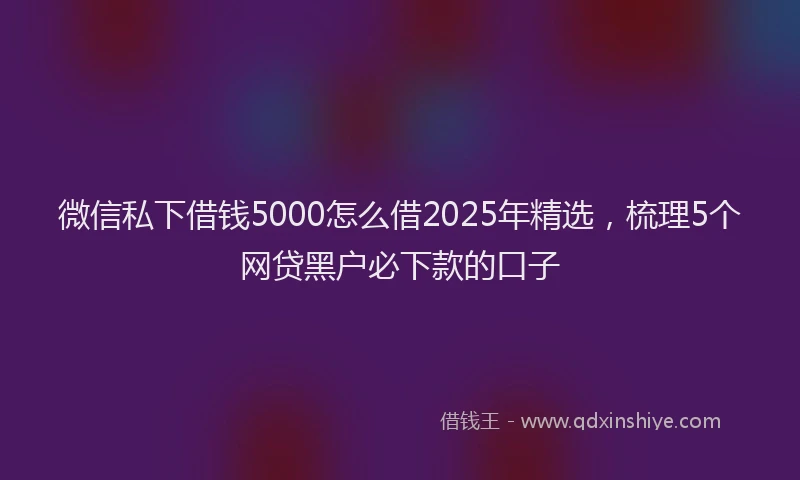 微信私下借钱5000怎么借2025年精选，梳理5个网贷黑户必下款的口子