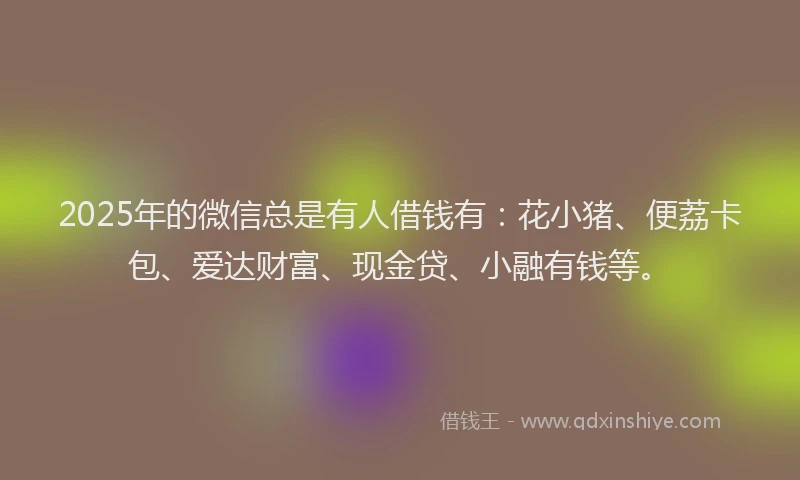 2025年的微信总是有人借钱有：花小猪、便荔卡包、爱达财富、现金贷、小融有钱等。