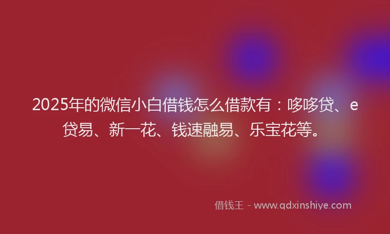 2025年的微信小白借钱怎么借款有：哆哆贷、e贷易、新一花、钱速融易、乐宝花等。