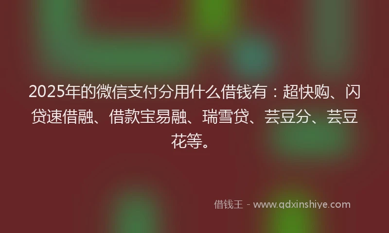 2025年的微信支付分用什么借钱有：超快购、闪贷速借融、借款宝易融、瑞雪贷、芸豆分、芸豆花等。