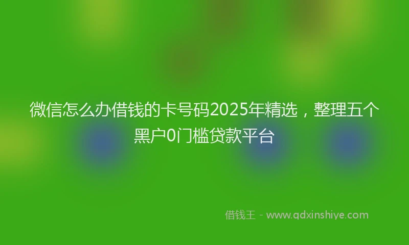 微信怎么办借钱的卡号码2025年精选，整理五个黑户0门槛贷款平台