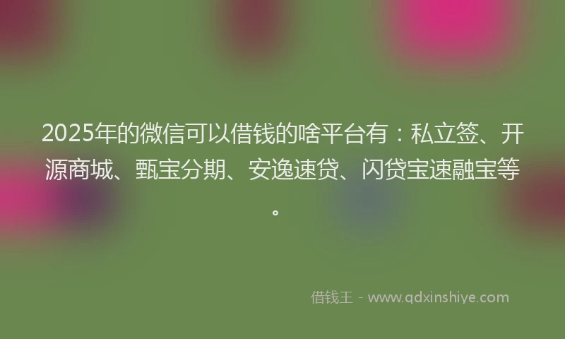2025年的微信可以借钱的啥平台有：私立签、开源商城、甄宝分期、安逸速贷、闪贷宝速融宝等。