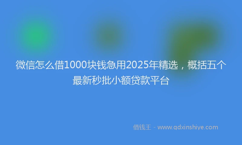 微信怎么借1000块钱急用2025年精选，概括五个最新秒批小额贷款平台