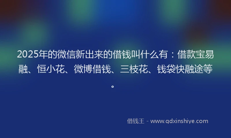 2025年的微信新出来的借钱叫什么有：借款宝易融、恒小花、微博借钱、三枝花、钱袋快融途等。
