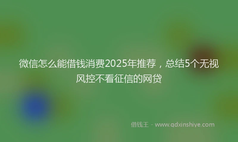 微信怎么能借钱消费2025年推荐，总结5个无视风控不看征信的网贷