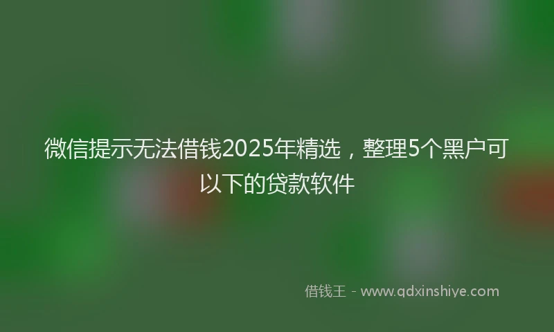 微信提示无法借钱2025年精选，整理5个黑户可以下的贷款软件