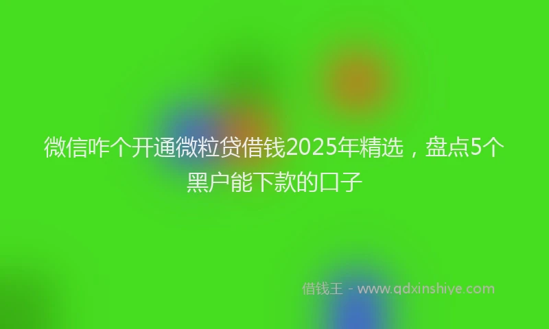 微信咋个开通微粒贷借钱2025年精选，盘点5个黑户能下款的口子