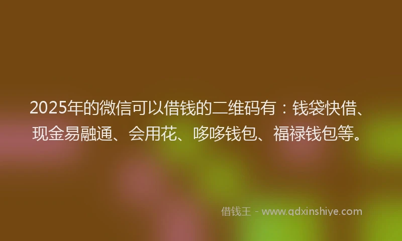 2025年的微信可以借钱的二维码有：钱袋快借、现金易融通、会用花、哆哆钱包、福禄钱包等。