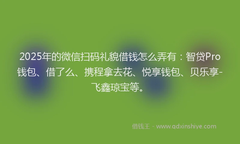 2025年的微信扫码礼貌借钱怎么弄有：智贷Pro钱包、借了么、携程拿去花、悦享钱包、贝乐享-飞鑫琼宝等。