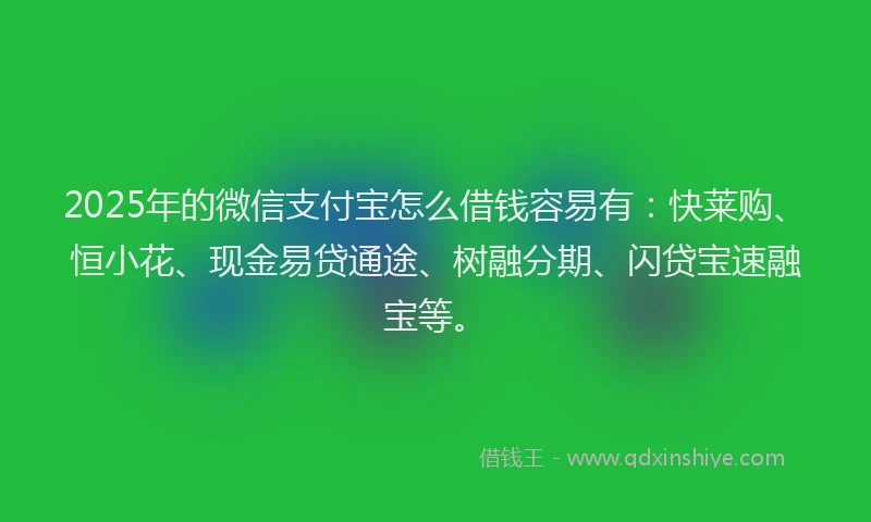 2025年的微信支付宝怎么借钱容易有：快莱购、恒小花、现金易贷通途、树融分期、闪贷宝速融宝等。