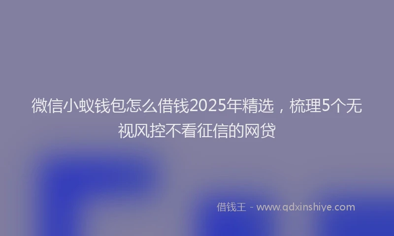 微信小蚁钱包怎么借钱2025年精选，梳理5个无视风控不看征信的网贷