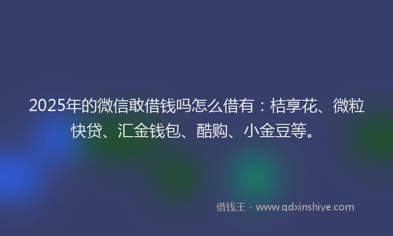 2025年的微信敢借钱吗怎么借有：桔享花、微粒快贷、汇金钱包、酷购、小金豆等。