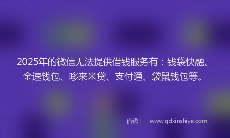 2025年的微信无法提供借钱服务有：钱袋快融、金速钱包、哆来米贷、支付通、袋鼠钱包等。