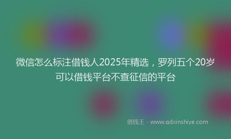 微信怎么标注借钱人2025年精选，罗列五个20岁可以借钱平台不查征信的平台